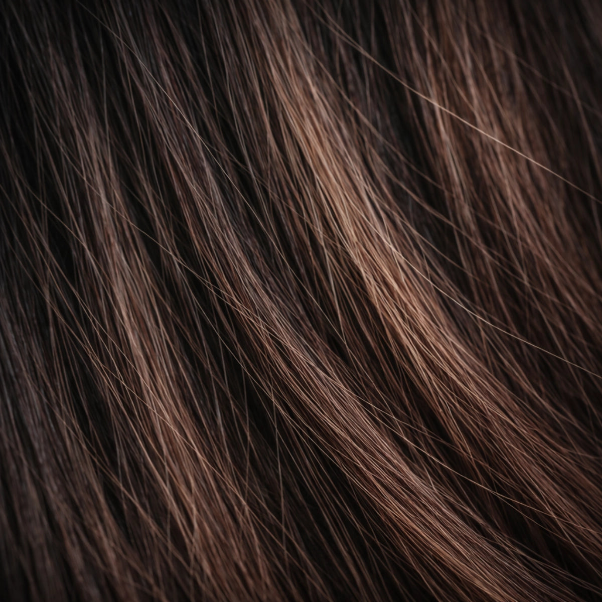 Cacao shade real human eyebrow hair extension by Sugar Browed – rich dark brown tone for bold, natural-looking brows using 100% human hair.