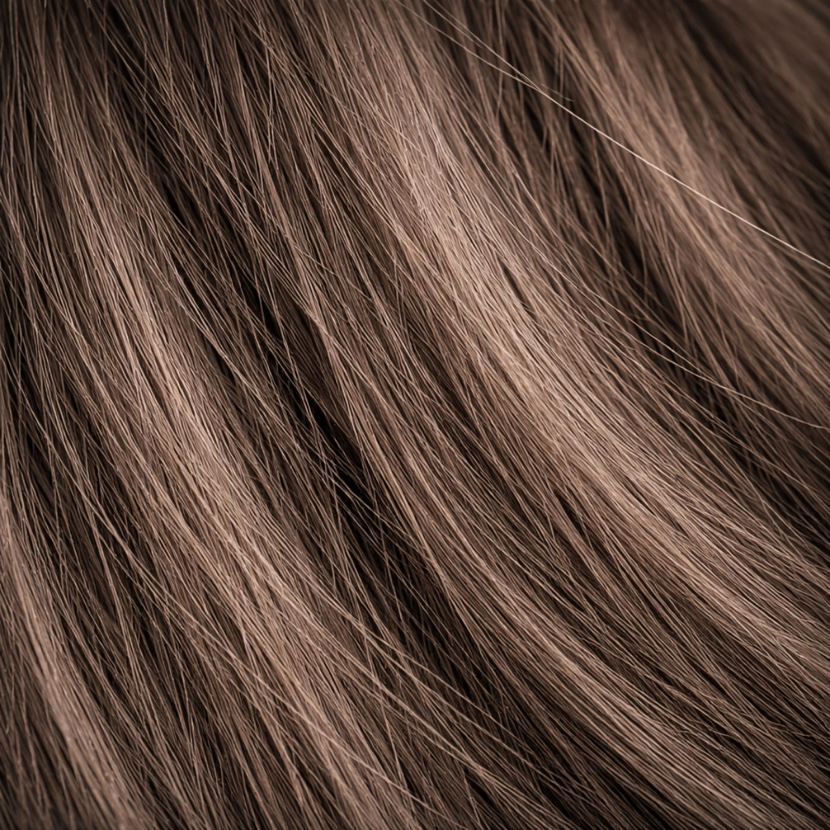 Mocha shade real human eyebrow hair extension by Sugar Browed