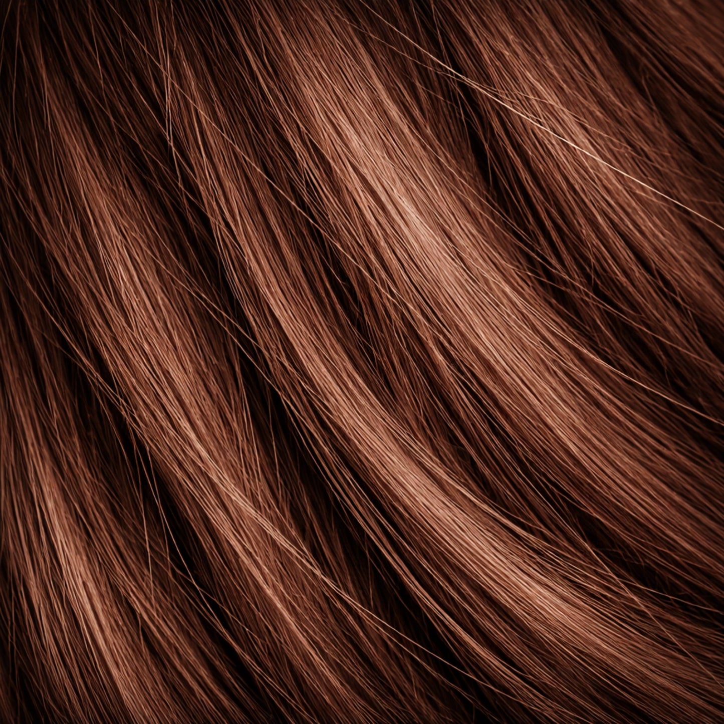 Caramel shade real human eyebrow hair extension by Sugar Browed.