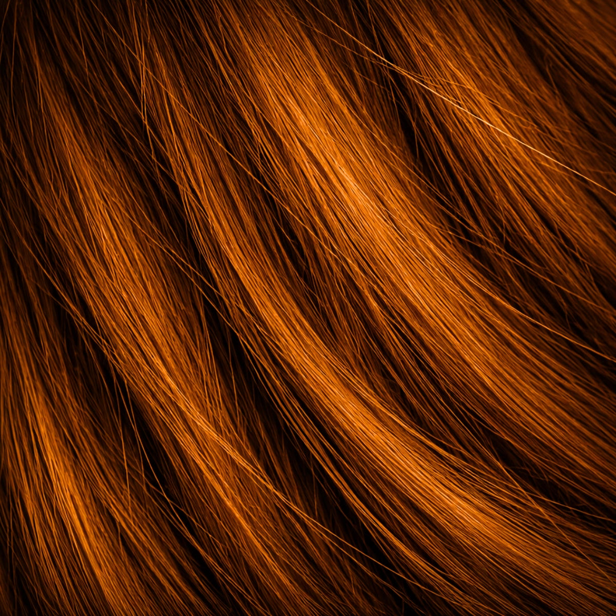 Cinnamon shade real human eyebrow hair extension by Sugar Browed.