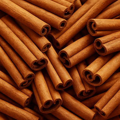High-resolution close-up of natural cinnamon sticks arranged in a decorative pattern – perfect for brow extension branding inspiration.