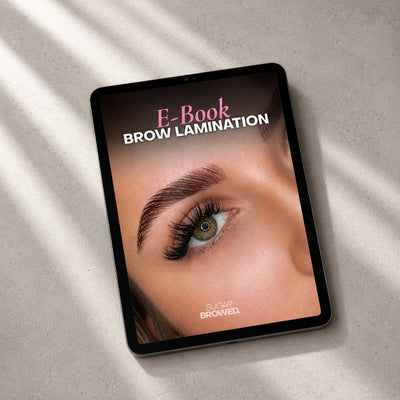 E-Book — 70+ pages